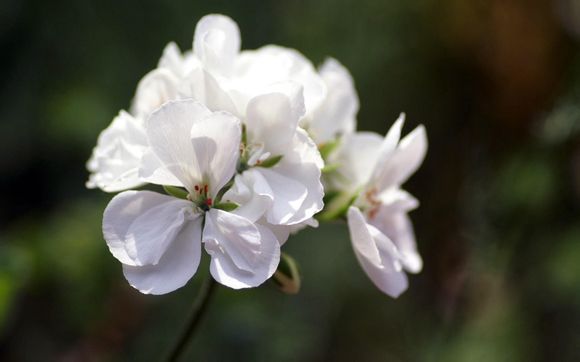 权限限制什么意思