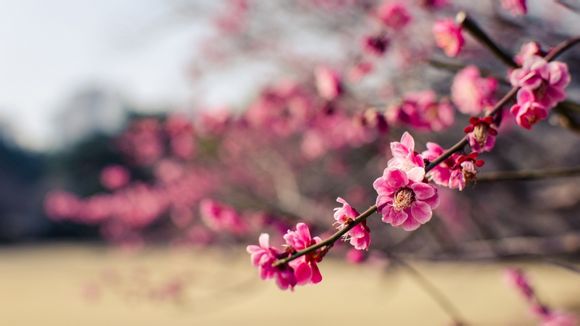 一个java源文件有多个类怎么办