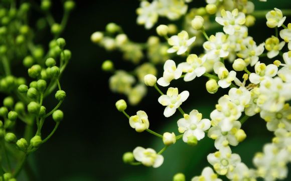 苹果运动与健康在哪里