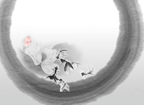 bgp协议号是多少