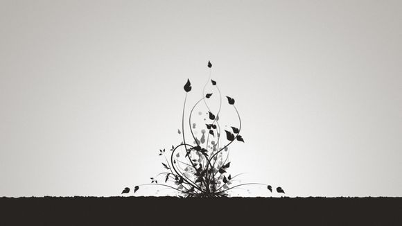 手机如何剪辑mov格式